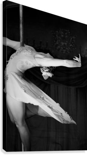 The Dance Canvas Print