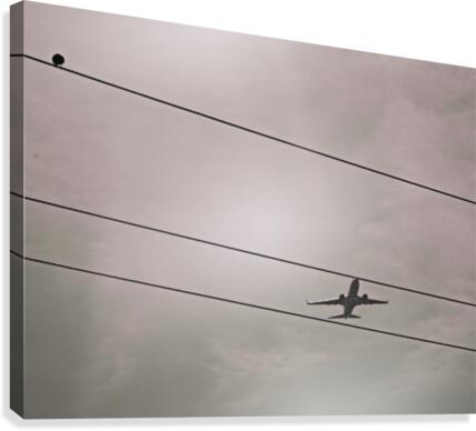 Linear Plane Canvas Print