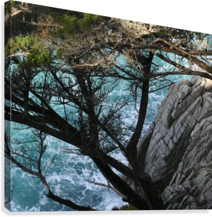Hwy.1 Canvas Print