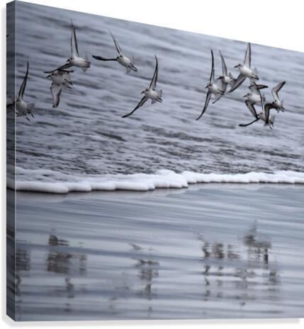 Moss Landing Canvas Print