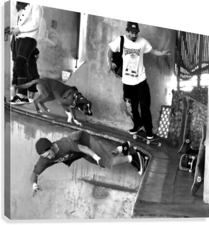 Skate Park Canvas Print