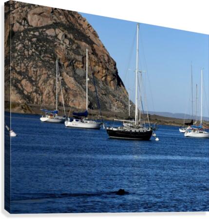 Morro Rock Canvas Print
