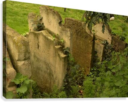 Old Graves Canvas Print