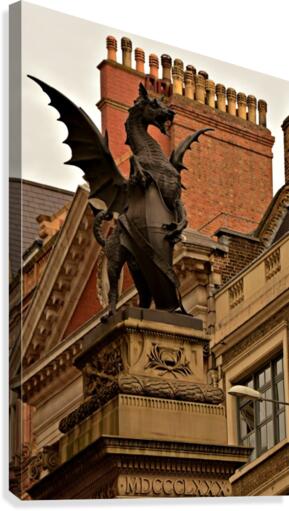 St.Georges Dragon Canvas Print