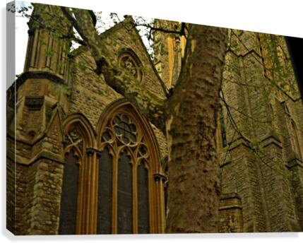 Mossy Cathedral Canvas Print