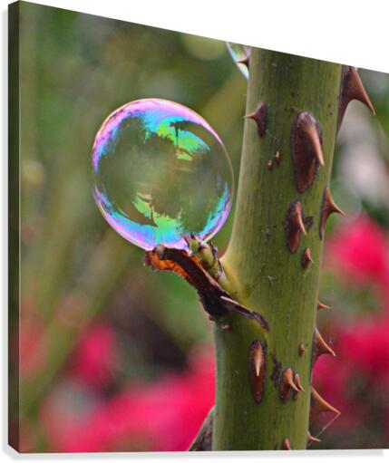 Metaphor Canvas Print