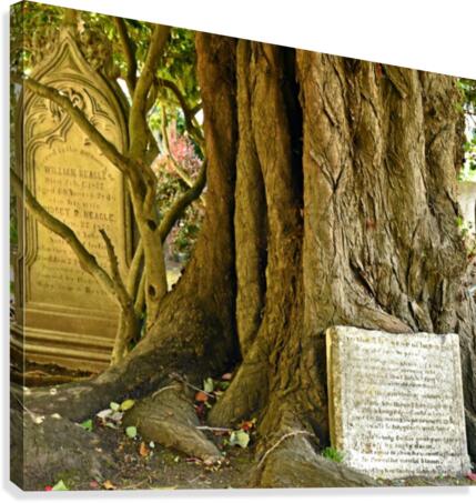 Grave Trees Canvas Print