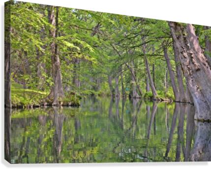 Blue Hole Canvas Print