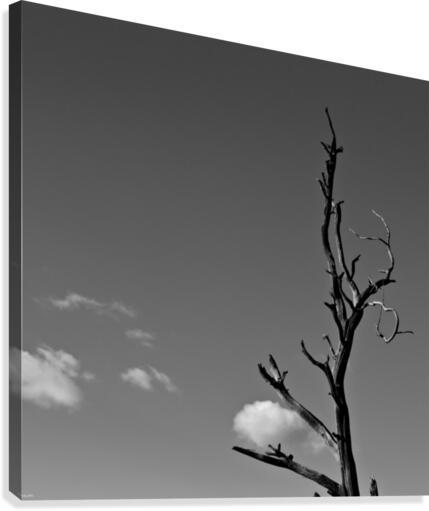 Stuck Cloud Canvas Print