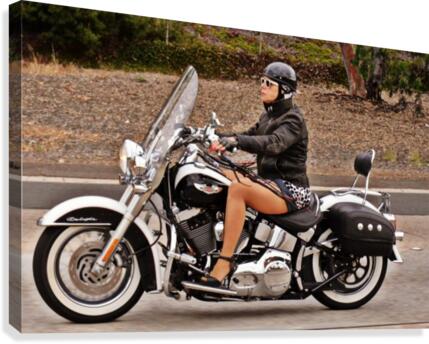 Badassery Canvas Print