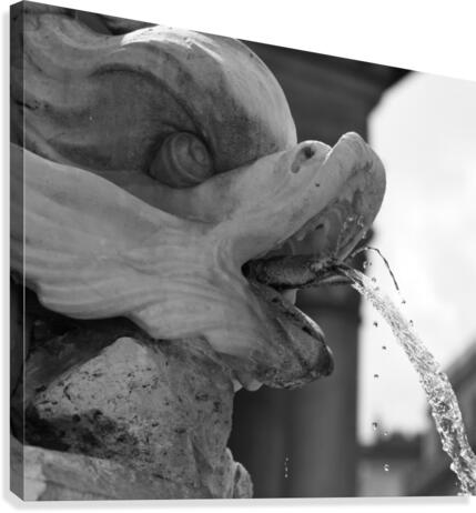 Fountain Canvas Print