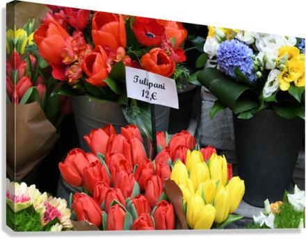 Tulipani Canvas Print