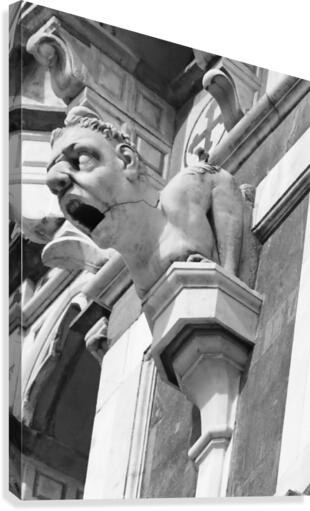 Gargoyle Canvas Print