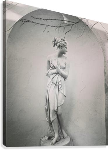 Bella Canvas Print