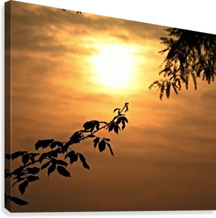 Almost Touching Canvas Print