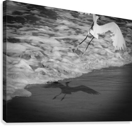 Sometimes Its The Shadow Canvas Print