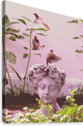 Flighty Canvas Print