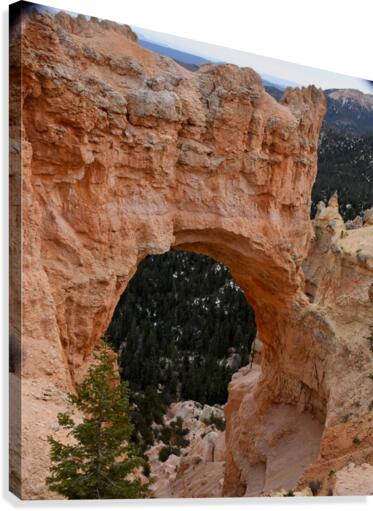 Natural Bridge Canvas Print
