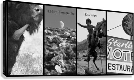 Roadtrips1 Canvas Print