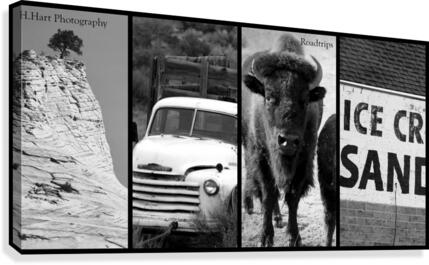 Roadtrips2 Canvas Print