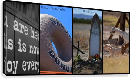 Roadtrips4 Canvas Print