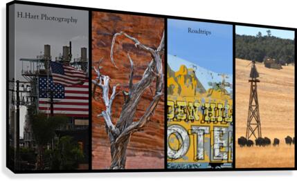 Roadtrips5 Canvas Print