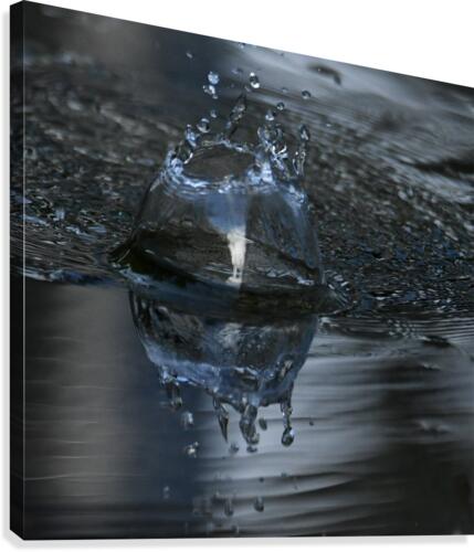 RainBubble Canvas Print