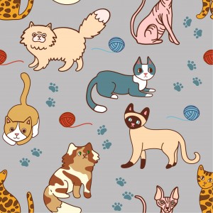 catspattern