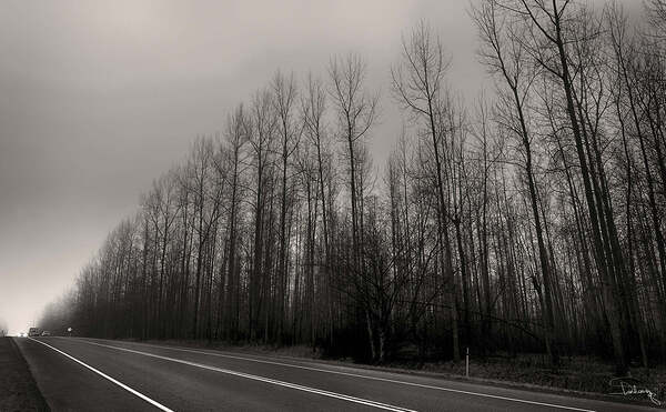 FOG2 Print