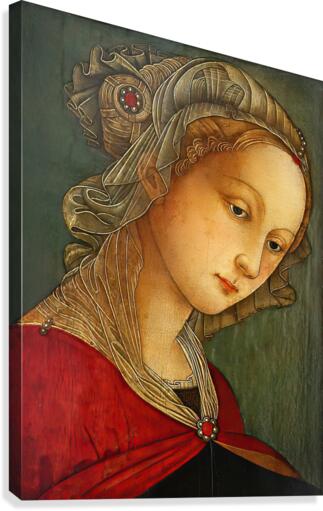 A lady Canvas Print
