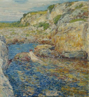 Rockweed Pool Print