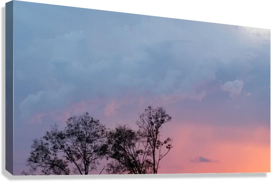 Pink Sunset  Canvas Print