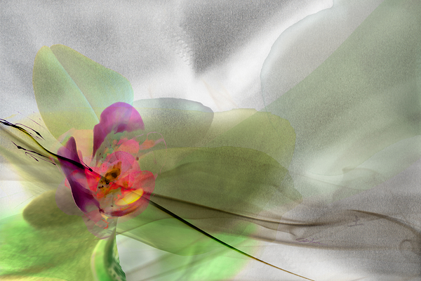 Element Earth v Print