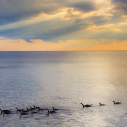 Sunset Journeys