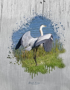 IMG 9702DancingHuron