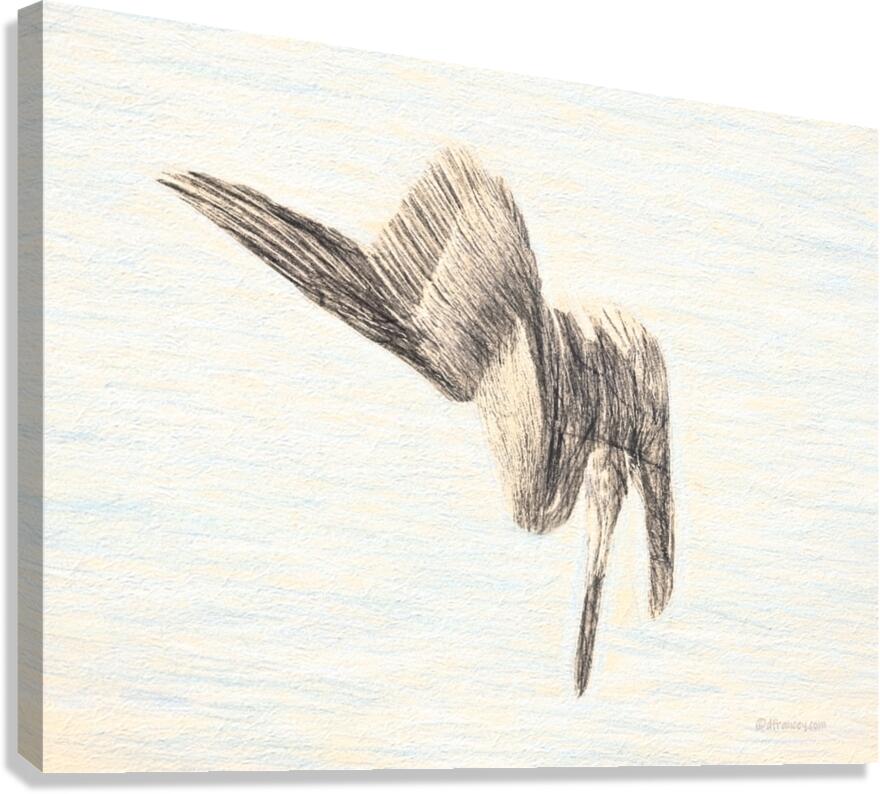 PelicanSketch3 Canvas Print
