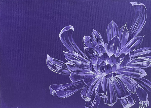 Chrysanthemum Print