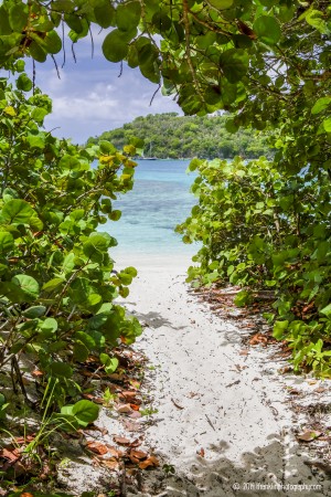 Hawksnest Eastern Beach Path by T Franklin Photography