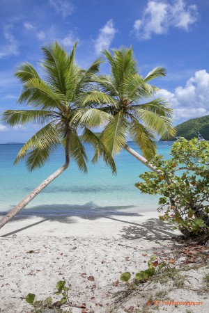 Maho Twins by T Franklin Photography