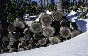 Firewood