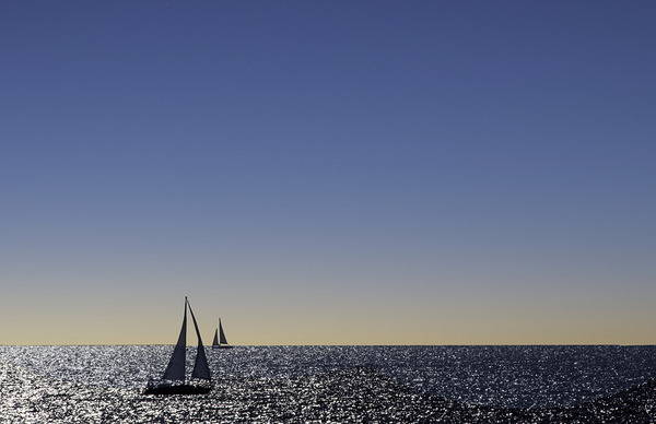 Sails against the Sun Print