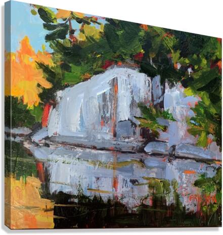 Earth Connection Canvas Print