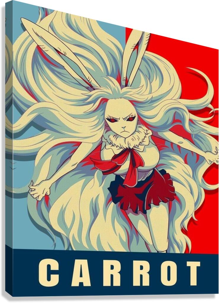 one piece Canvas Print