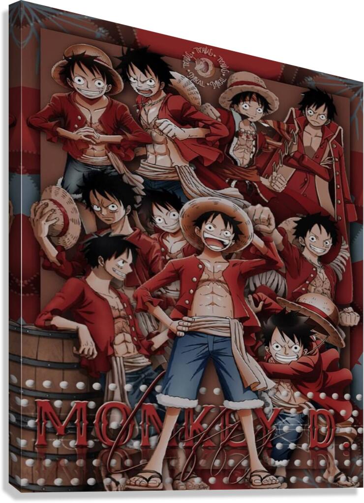 one piece Canvas Print