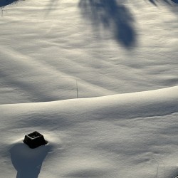 blanc