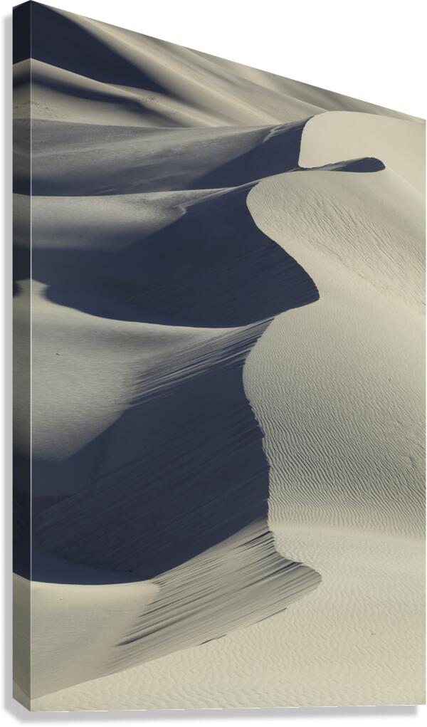 Sand Dunes Canvas Print