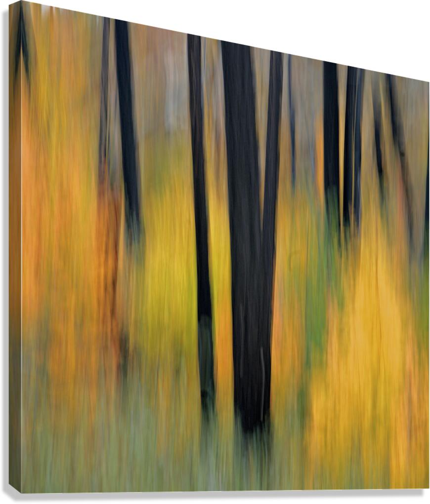 Autumn ICM Canvas Print
