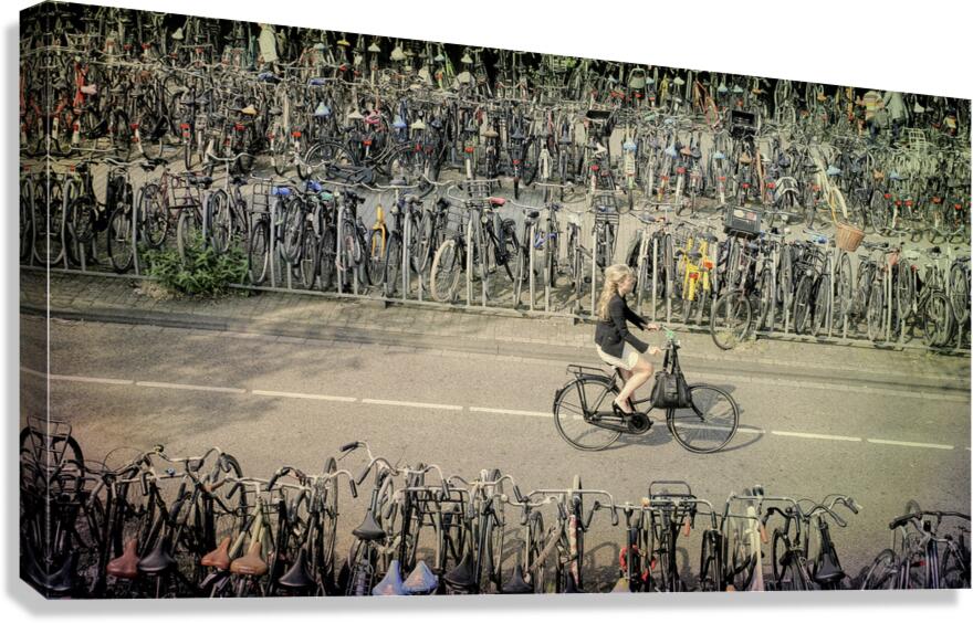 Bicycles Canvas Print