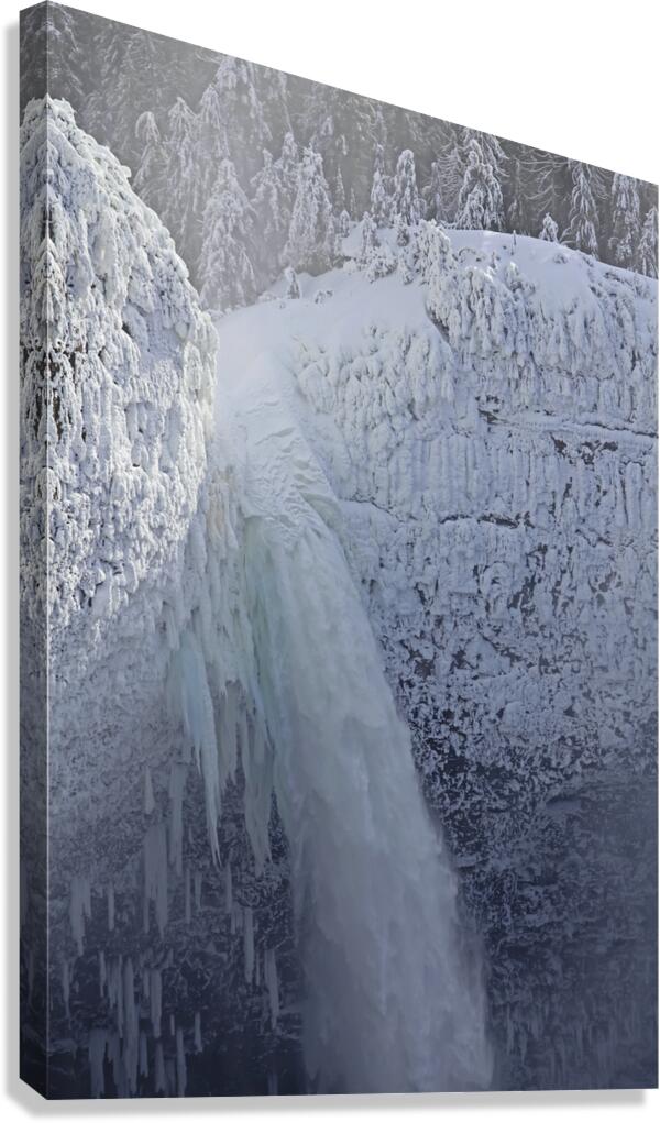 Helmken Falls Canvas Print
