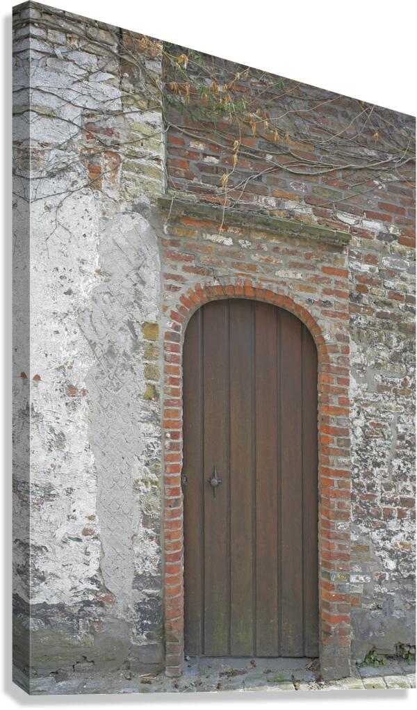 Old Door Canvas Print